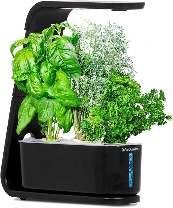 AeroGarden Sprout, Black | Indoor Garden with LED Grow Light
