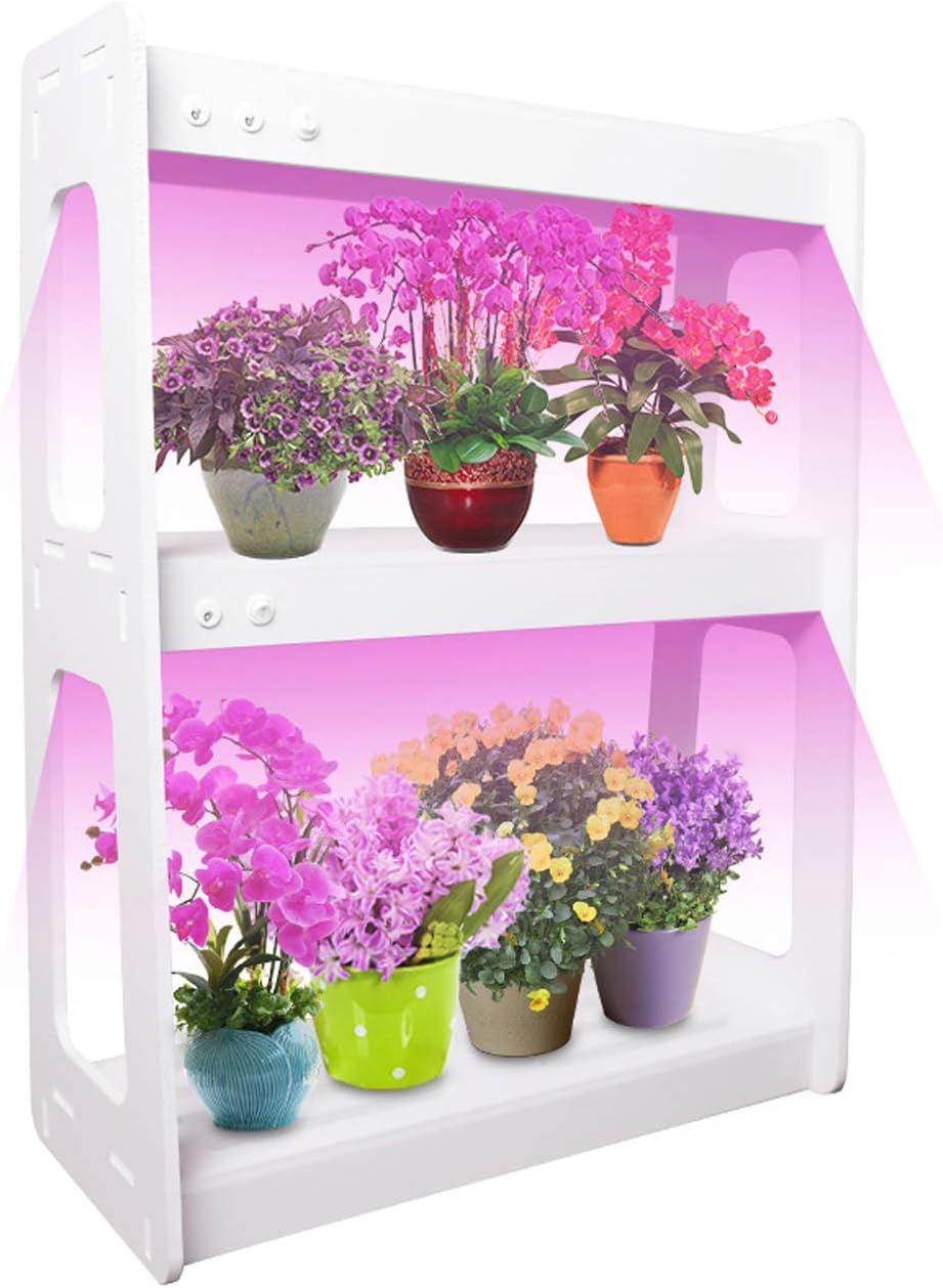 Indoor herb garden with LED glow light and timed automatic shut-off, home planter kit for herbs, succulents, vegetables and 2 layers
