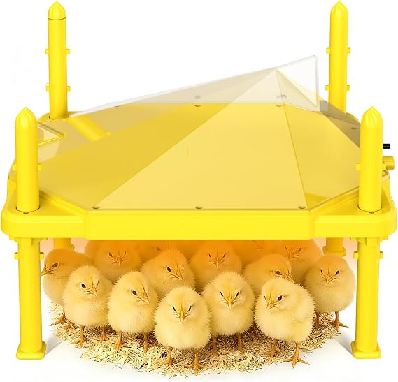 Chick Brooder Heating Plate, 14"x11"Adjustable Temperature & Height Heating Plate for Chicken with Anti-Roost Cone, Easy-Clean Poultry Coop Heater for Up to 18-22 Chicks (Yellow)