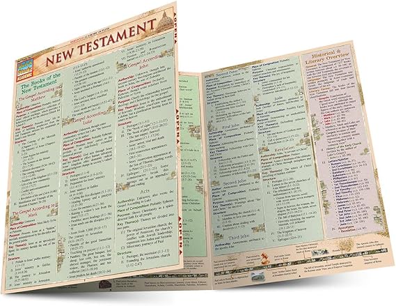 New Testament: QuickStudy Laminated Reference Guide (QuickStudy Academic)