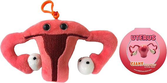 GIANT MICROBES Uterus Plush Keychain, Uterus Plush, Hysterectomy Gifts, Endometriosis Awareness, Feminist Gifts, Fertility Gift, Get Well Gift, Bag Charms