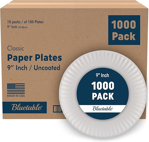 Bluetable 9 Inch Paper Plates Bulk 1000 Count - Uncoated White 9 Dinner Plate Pizza Plate Decorative Craft Paper Plates Disposable Plates [1000 Pack/Case]