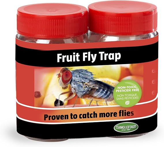 Tanglefoot 300000163 Fruit Fly Trap - 2 Pack