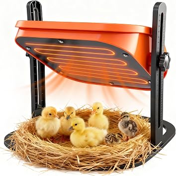 SakerNeo 10 x 10 Chick Heat Plate, Upgraded 50W Power with 3-Level Temp97-117-137F, Adjustable Height & Angle, 6.7FT Long Cables, Brooder Plate for Chick Pourltry & Brooder Box