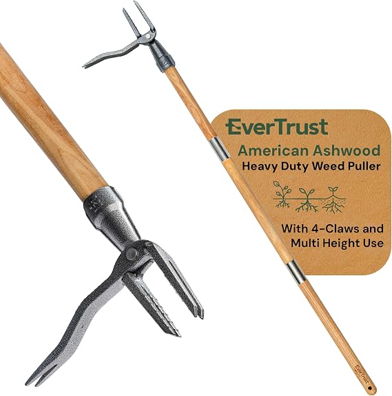 4-Claw Stand Up Weed Puller Tool, Long Handle for Weed Removal | Adjustable 30"- 44" Heavy Duty Metal Head Weeder Tool with American Ashwood Handle, Easy Gardening, No Bending or Kneeling