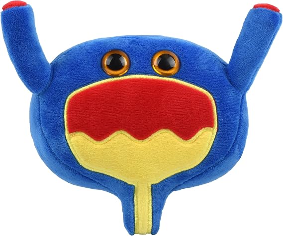 GIANT MICROBES Bladder Plush, Urology Gag Gifts, Bladder Cancer Awareness, Organ Plushies, Prostate Cancer Awareness, Urologist Doctor Gift, UTI, Urology Nurse Gifts, Anatomy Plush