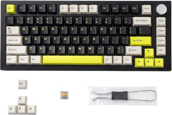 75% Hot Swappable Mechanical Keyboard, Gasket Mount Wired Compact TKL Layout, RGB Backlit Custom Keyboard for PC Laptop Windows Gamers,Typing(Black)