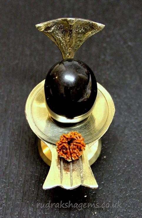IS4A Shaligram Shiva Ling Lingam Shivling Statue Hindu Puja Stand 5 Mukhi Rudraksha.