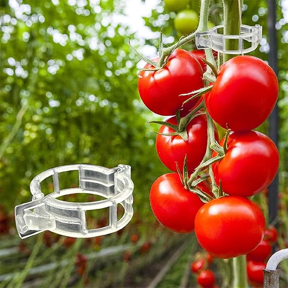 100 Pcs Plant Support Clips, Plastic Trellis Clips, Vegetables Plants Tomato Trellis, Tomato Clips, Grape Vine, Vine Clip Gadget for Plants,Garden Clips to Grow Upright Makes Plants Healthier