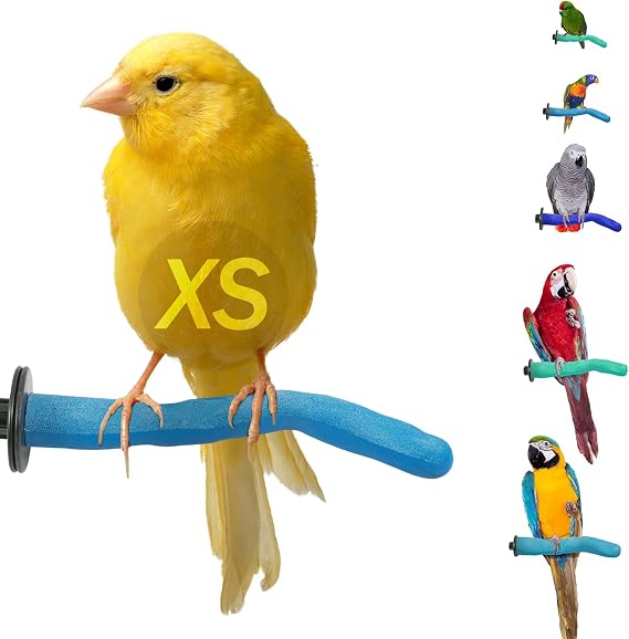 Sweet Feet and Beak Safety Pumice Bird Perch, X-Small Pedicure Perch, Blue | Plastic Bird Nail Trimming Perch, Pumice Coated Surface for Healthy Feet and Beak, 6" Lightweight Perch, Available In 5 Sizes