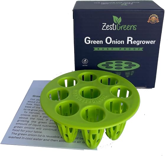 Green Onion Planter Lid - Countertop Regrower for Kitchen Use
