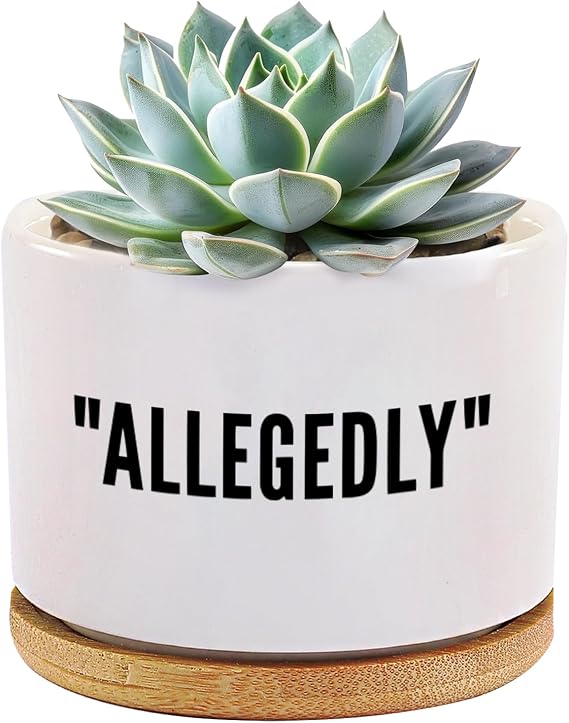 Allegedly Lawyer Gifts Ceramic Succulent Plant Pot with Tray Round Attorney Law Student Graduation Gifts Plant Lover Home Office Decor 3.5 Inch White (No Plants) (with Bamboo Tray)