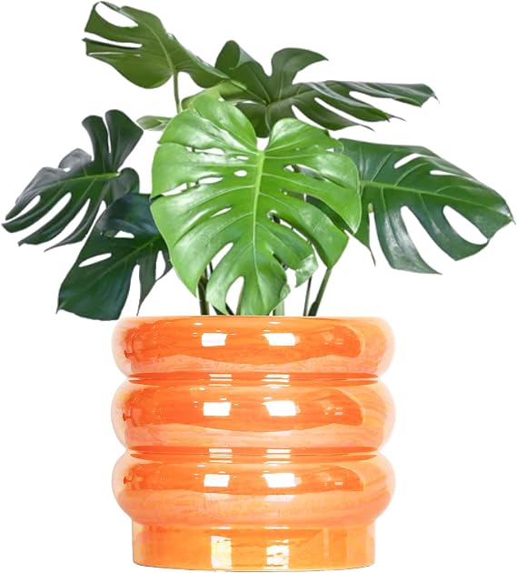8 Inch Ceramic Plant Pot with Drainage, Planter for Indoor Plants | Ceramic Pot with Removable Rubber Stoppers, Plant Pot for Flowers, Succulents, Herbs, Cactus and Houseplants