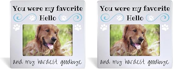 Pet Remembrance Picture Frame - Pet Bereavement Gift - Dog or Cat - You were My Favorite Hello and My Hardest Goodbye - Measures 8"W x 7.25"H - Holds 4" x 6" Photo (Pack of 2)