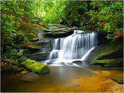 Rock Waterfall Mountain River in The Forest Wall Mural Non-Woven Photo Wallpaper Made in Europe for Living Room Family Room Bedroom, 1110H x 810V 360x270 cm