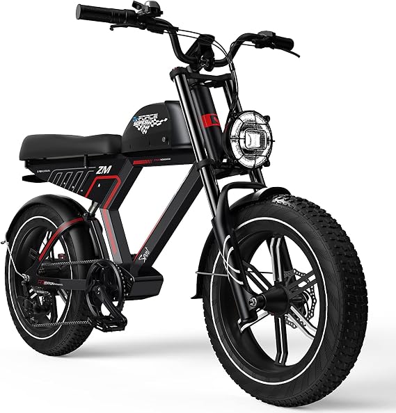 Electric Cruiser Bike for Adults Fat Tire Ebike 750W Motor Removable 48V 20Ah/13.5Ah Battery Full Suspension Hydraulic Disc Brake Mountain Electric Bicycle with Shimano 7 Speed Gear