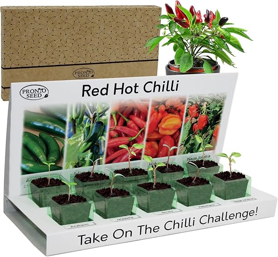 Pronto Seed Grow Your Own Chilli Plant Kit - 5 Varieties