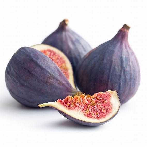 Thai Greenhouse Black Mission Fig Tree, brown