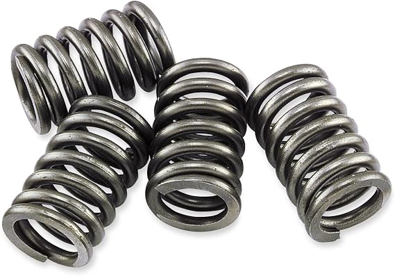 EBC CSK Clutch Spring Kit CSK111