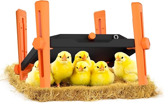 Pet & Livestock HQ Chicken Brooder Heater for Chicks - Chick Brooder Heat Plate - 12 x 12 Indoor Brooder Heating Kit with Adjustable Height and Temperature Display