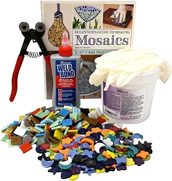 Delphi Glass Glass Mosaic Starter Kit | Includes Colorful Stained Glass, Instruction Book and Supplies