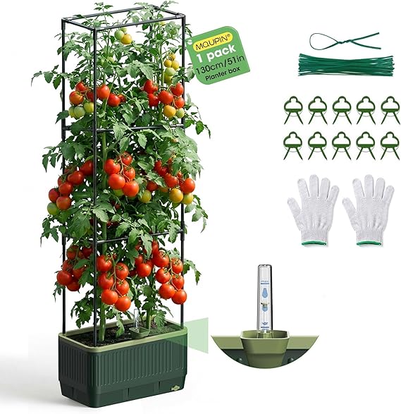 MQUPIN Raised Garden Bed Planter Box, Self Watering Tomato Planter with Water Level Indicator, Garden Tomato Cage for Indoor & Outdoor Climbing Vegetables, Plants & Flowers (1)