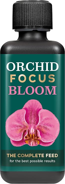Orchid Focus Bloom 300ml