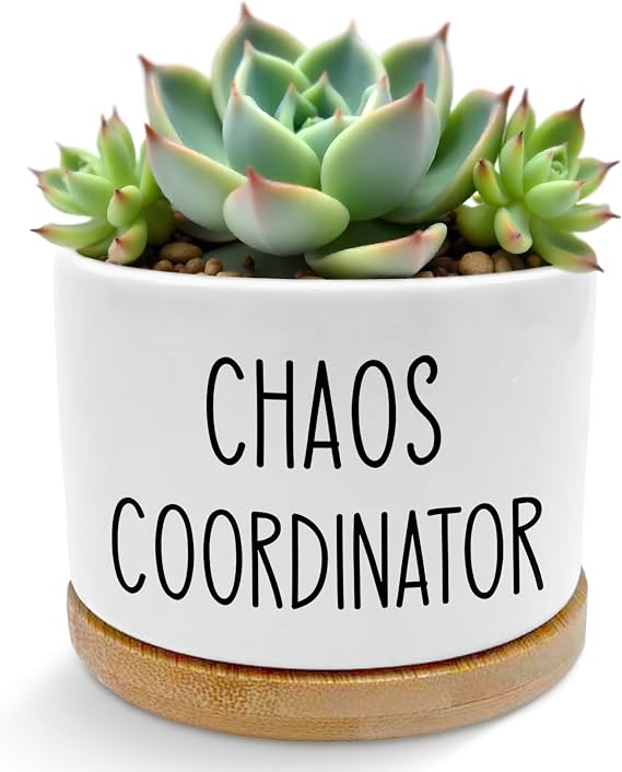 Chaos Coordinator Gifts for Women Men Plant Pots, Appreciation Gifts for Coworkers Boss Leader Mentor Succulent Planters, Ceramic Plant Flower Pots for Home Office Desk Table Shelf(No Plants)
