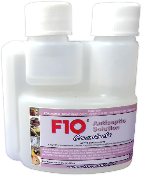 F10 Antiseptic Solution (100 ml)