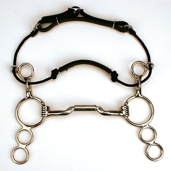 Myler 06 Three Ring Combination Bit