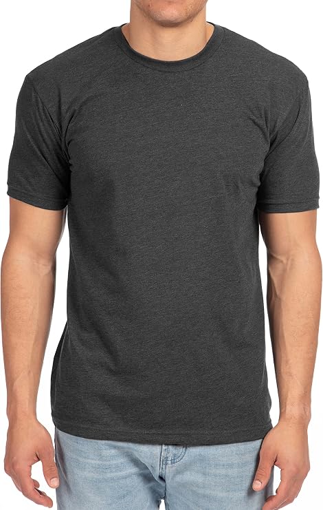 Next Level Apparel Mens N6210