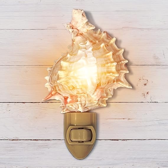 Real Shell Night Light, Seashell Decor for Coastal Bathroom or Beach House | Unique coastal nightlight handmade in Florida with natural shells for ocean and beach decor