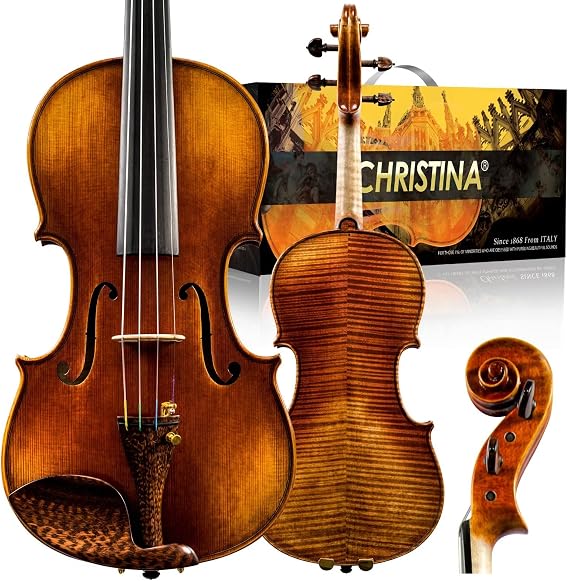 CHRISTINA S400B Violin Instrument Adult Full Size Violin 4/4 Best Handmade Professional Acoustic Violins Kit