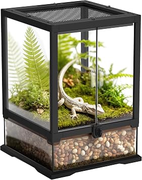 12x 12x 18 Reptile Terrarium with Full View Tempered Glass, 10 Gallon Reptile Habitat with Mesh Top Vent, Suitable for Small Reptiles Such as Gecko, Snake, Frog and Mantis