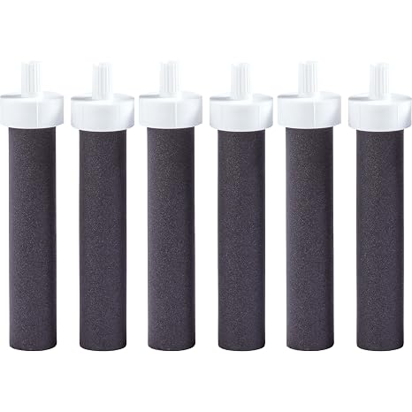 Brita Water Bottle Replacement Filters, BPA-Free, Replaces 1,800 Plastic Water Bottles a Year, Lasts Two Months or 40 Gallons, Includes 6 Filters