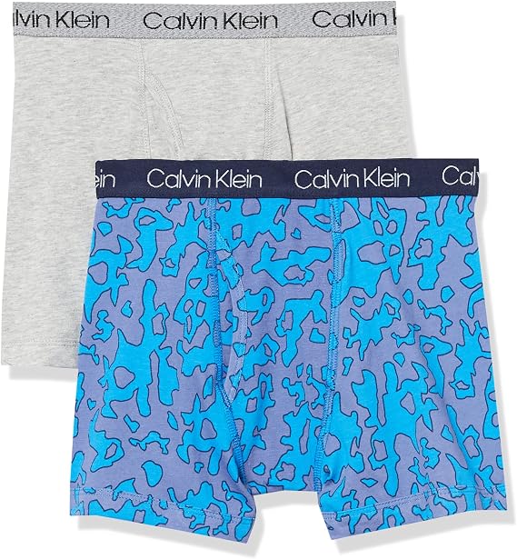 Calvin Klein Kids Boys' Modern Cotton Boxer Brief Underwear 2-Pack