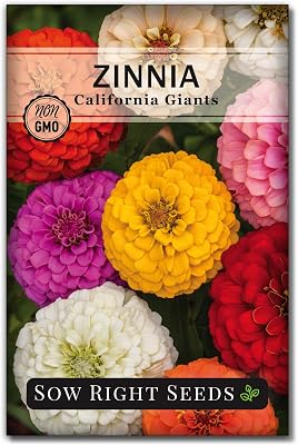 Sow Right Seeds - California Giants Mix Zinnia Seeds for Planting - Non-GMO Heirloom Packet to Grow Your Flower Garden - Attract Bees and Butterflies - Great to Cut and Come Again - Summer Annual 1