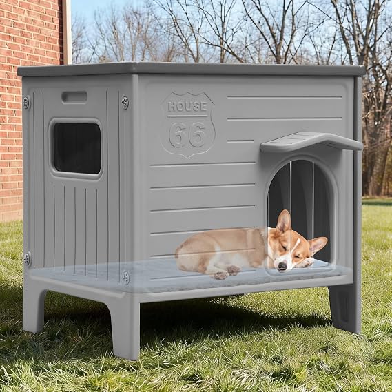 Rockever Dog House Outdoor Indoor for Small Medium Dogs, Insulated Dog House with Mat, Plastic Elevated Outdoor Dog House Waterproof Dog Kennel with Window, Clean Easily(M & Mat)