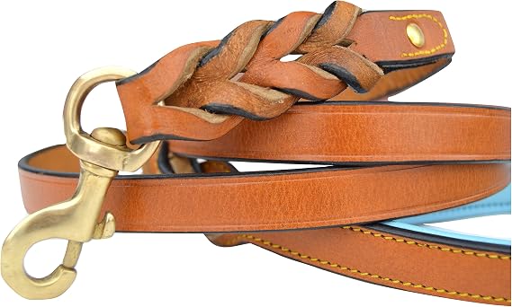 Leather Braided Dog Leash, Tan with Teal Padded Handle, 6ft x 3/4" Inch Wide, Made with Full Grain Genuine Leather