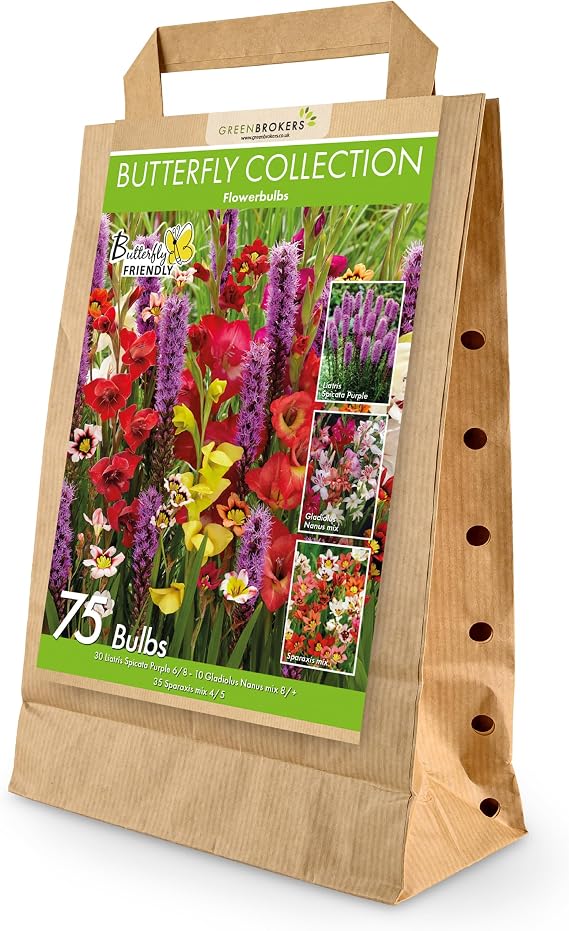 75 Bee & Butterfly Summer Bulb Collection | Mixed Bulb Varieties | Eco Packaging | Plant Now Ready to Bloom in Summer