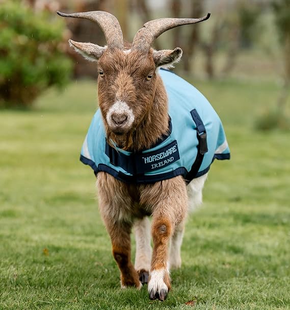 Horseware Goat Coat (100g Light)