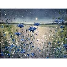 Trademark Fine Art Canvas Wall Art - Jennifer Taylor Art 'Cornflowers and The Moon No 1' Wall Art for Living Room, Bedroom, or Office Decor