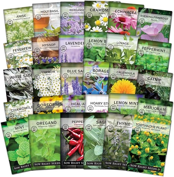 Sow Right Seeds - Extra Large Medicinal Herb Seed Collection for Planting - Lemon Balm, Lavender, Yarrow, Echinacea, Bergamot, Chamomile, Calendula, Mint & More - Non-GMO Heirloom, Home Remedies