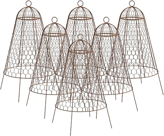Set of Six Panacea 83280 Rustic Wire Garden Cloches, 20" H Each