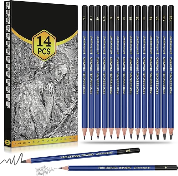 Pro Pencils Drawing Sketching Set 14 pcs Graphite (12B - 6H) Kit Soft Pencils Ideal Gift for Drawing Art, Sketching, Shading, Artist Pencils for Beginners Pro Artis