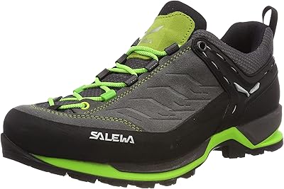 Salewa Mens Low Rise Hiking Boots