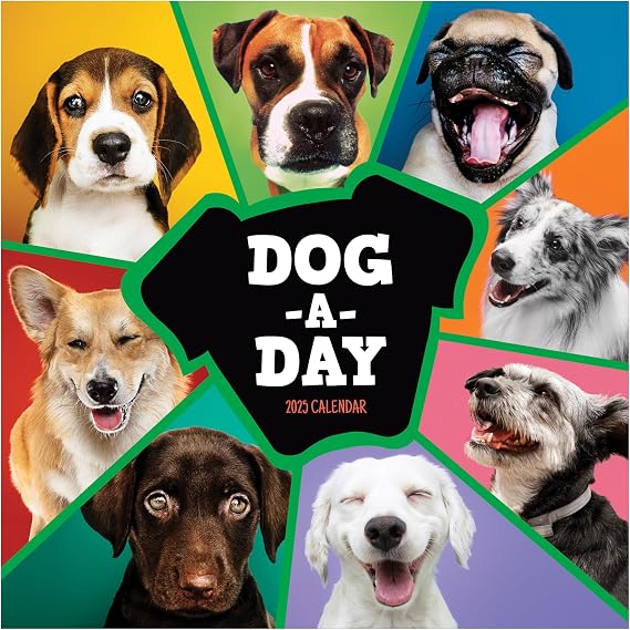 TF PUBLISHING 2025 Dog-A-Day Wall Calendar - Large Grids for Appointments and Scheduling - Vertical Monthly Wall Calendar 2025 - Home & Office Organization - Premium Gloss Paper - 12"x12"