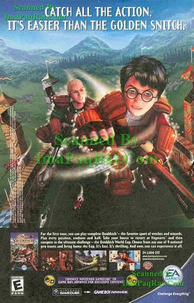 Harry Potter: Quidditch World Cup
