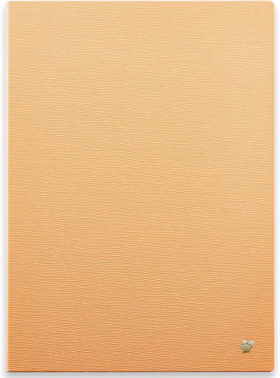iflytek AINOTE 2 Paper Tablet 10.65" Protective Case-Orange
