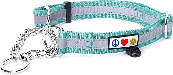 Pawtitas Martingale Dog Collar with Chain - Reflective Nylon No Pull Collar for Large Dogs - Teal